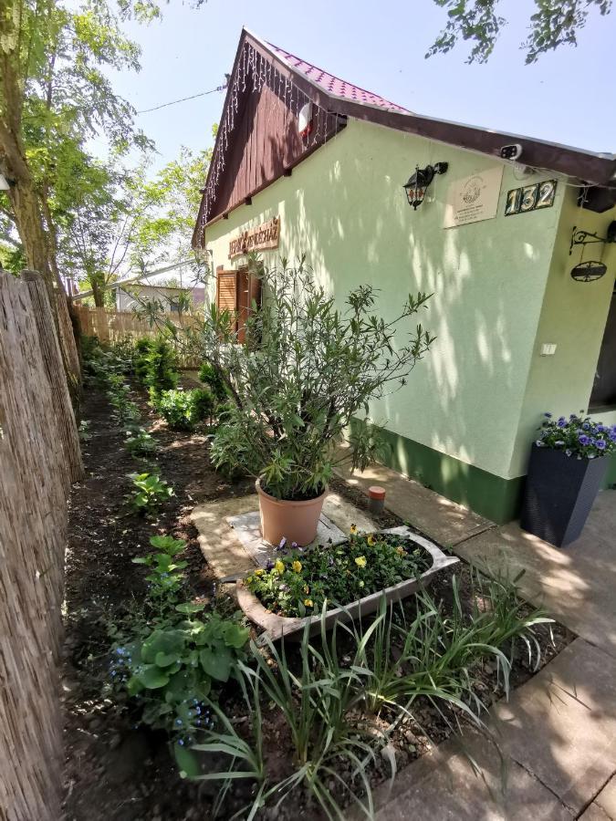 Ferienwohnung Berko Vendeghaz Rakoczifalva Exterior foto